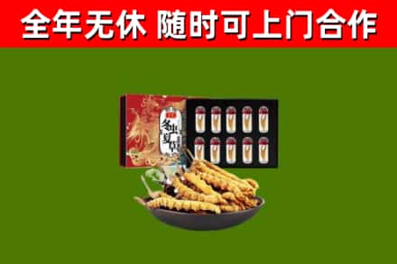 崇左市回收冬虫夏草价格