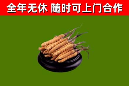 崇左市烟酒回收冬虫夏草.jpg